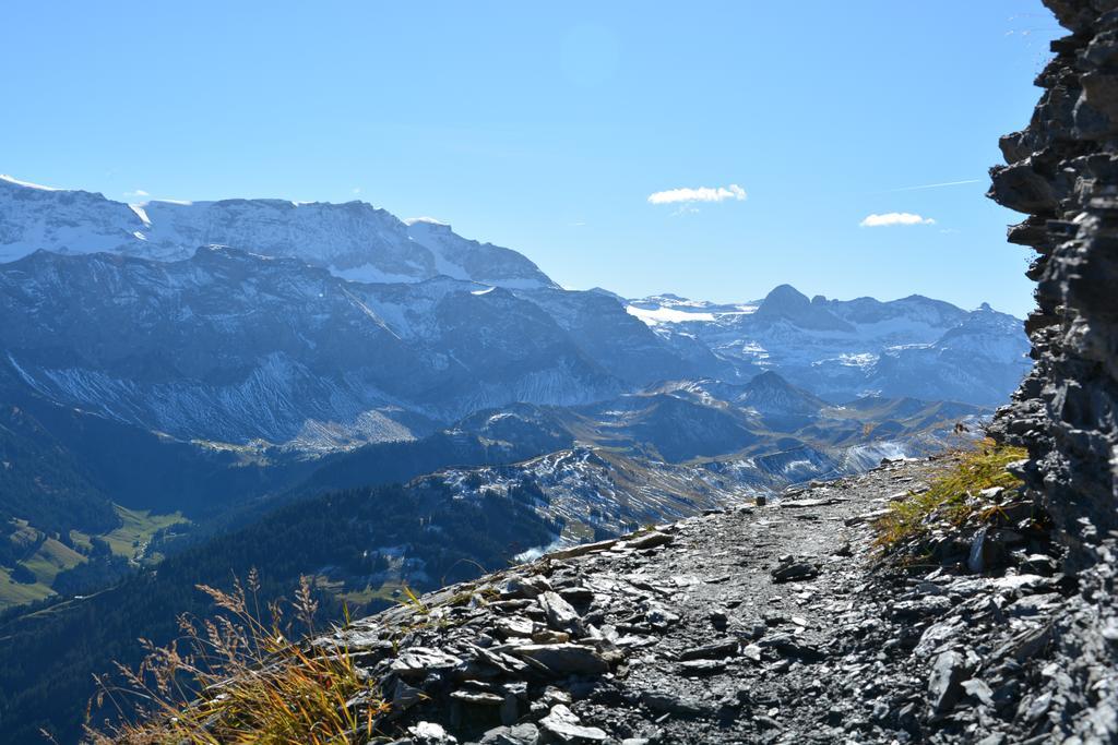 Hotel Hari Im Schlegeli Adelboden Buitenkant foto