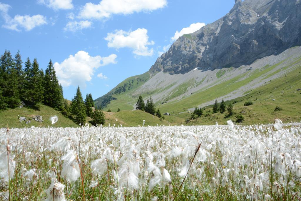 Hotel Hari Im Schlegeli Adelboden Buitenkant foto