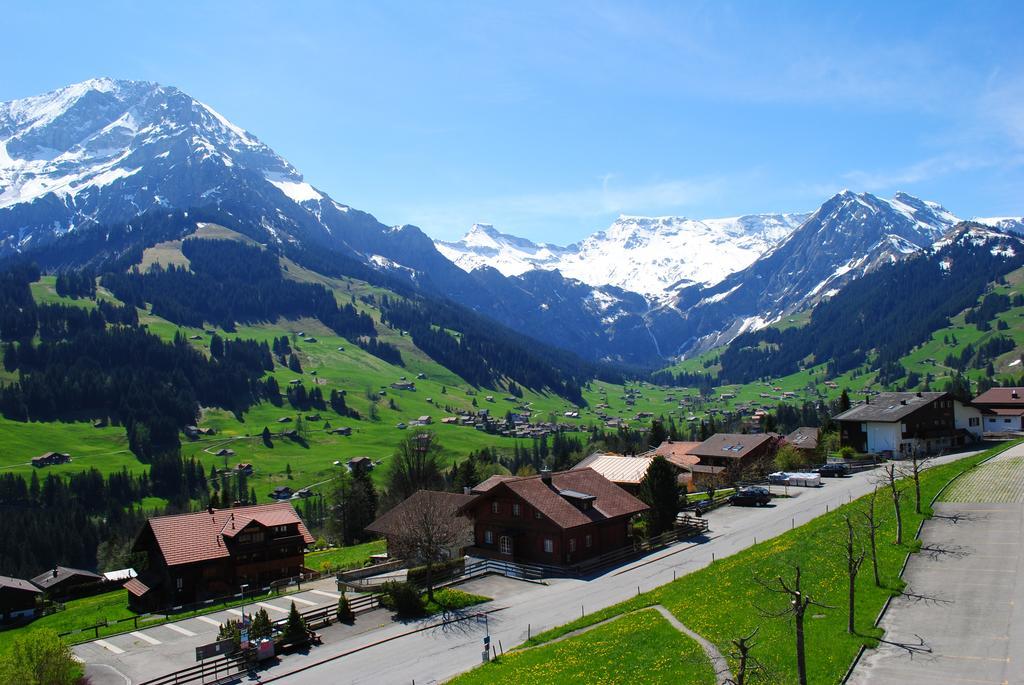 Hotel Hari Im Schlegeli Adelboden Buitenkant foto