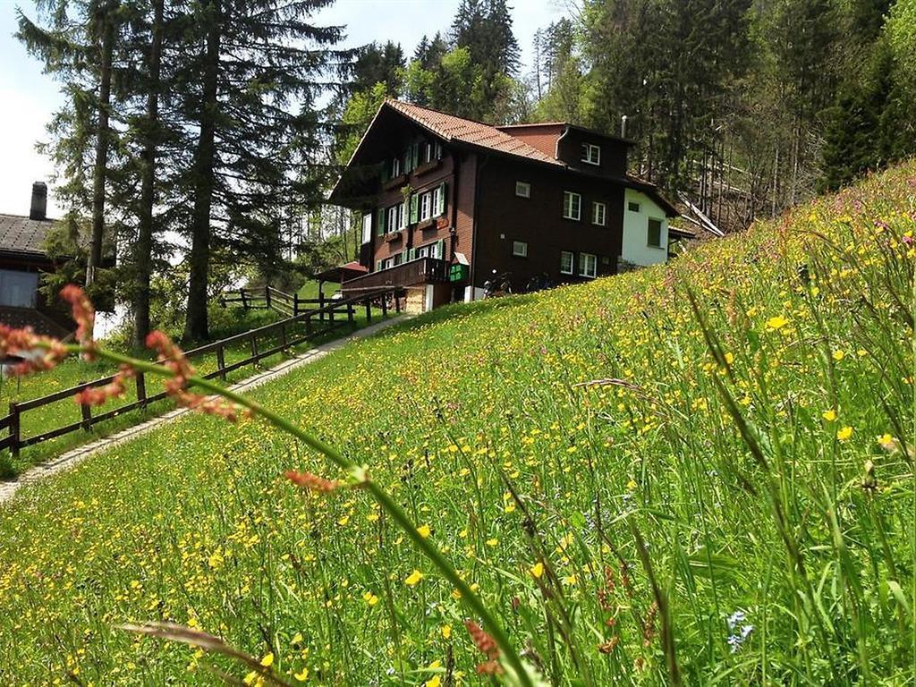 Hotel Hari Im Schlegeli Adelboden Buitenkant foto