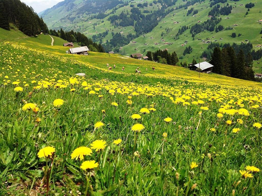 Hotel Hari Im Schlegeli Adelboden Buitenkant foto