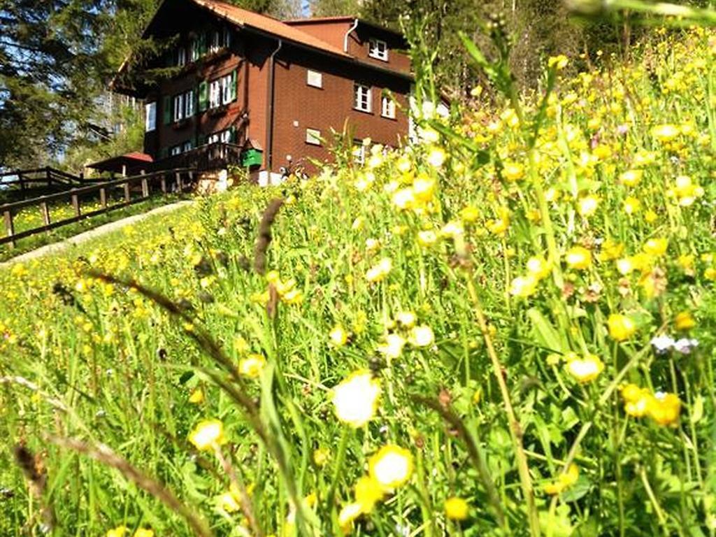 Hotel Hari Im Schlegeli Adelboden Buitenkant foto